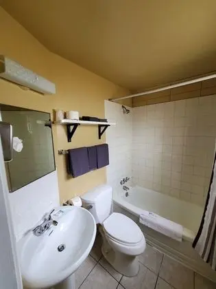 Basic Tek Büyük Yataklı Oda, 2 Çift Kişilik Yatak