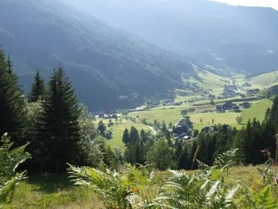 Apart Daire, Balkon (Fichte)