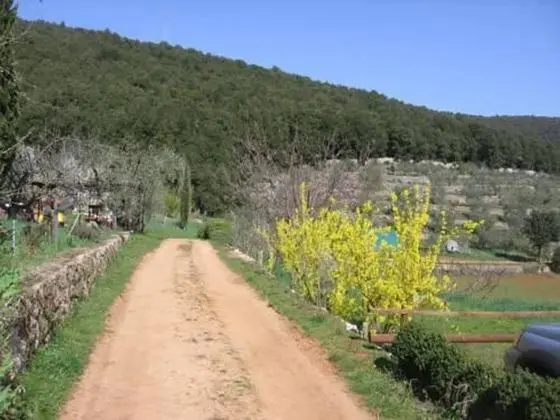 Oda, 1 Yatak Odası
