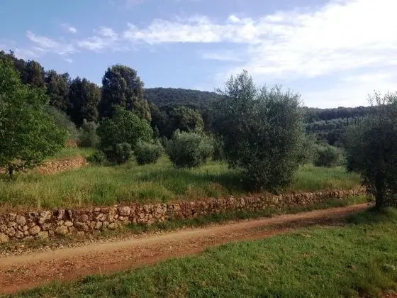 Oda, 1 Yatak Odası