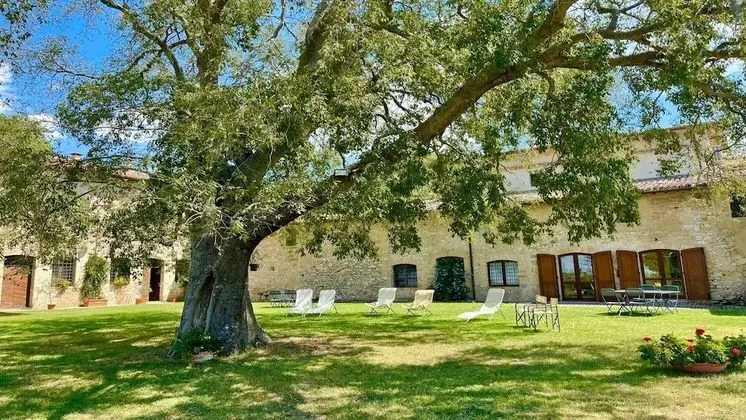 Ev, 4 Yatak Odası, Teras