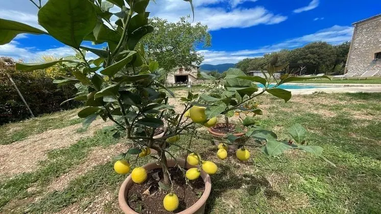 Ev, 4 Yatak Odası, Teras