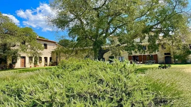 Ev, 4 Yatak Odası, Teras