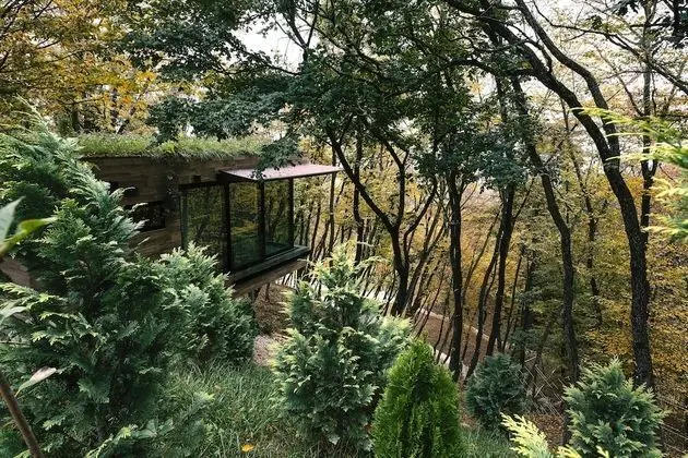 Premium Kır Evi, 1 Yatak Odası