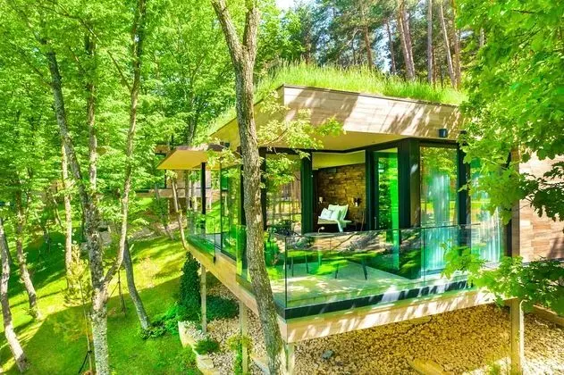 Premium Kır Evi, 1 Yatak Odası