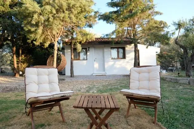 House, Bahçe Manzaralı, Şömineli