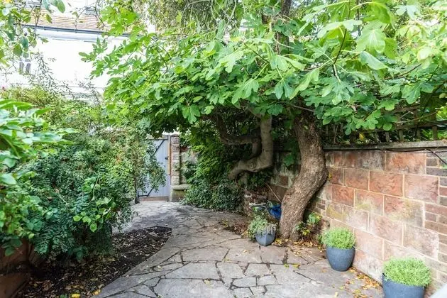 Apart Daire, 3 Yatak Odası, Balkon