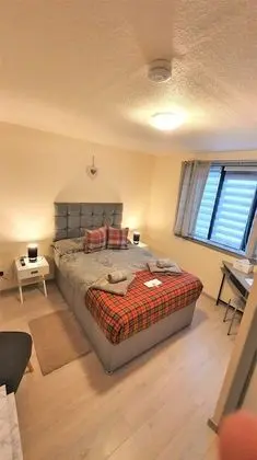 Basic Tek Büyük Yataklı Oda