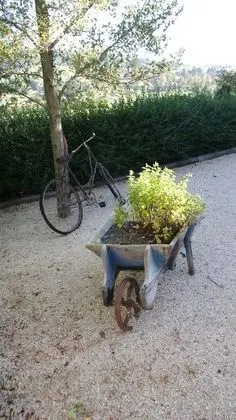 Superior Tek Büyük Yataklı Oda, 1 En Büyük (King) Boy Yatak, Özel Banyo, Tepe Manzaralı