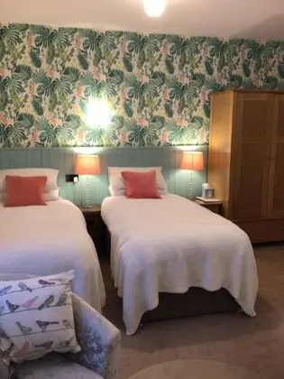 Deluxe İki Ayrı Yataklı Oda, Banyolu/Duşlu (Premier Twin Room)