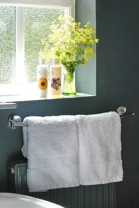 Superior Tek Büyük Yataklı Oda, Banyolu/Duşlu, Nehir Manzaralı (Avon)