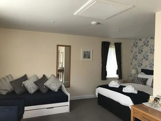 Superior Tek Büyük Yataklı Oda, Banyolu/Duşlu