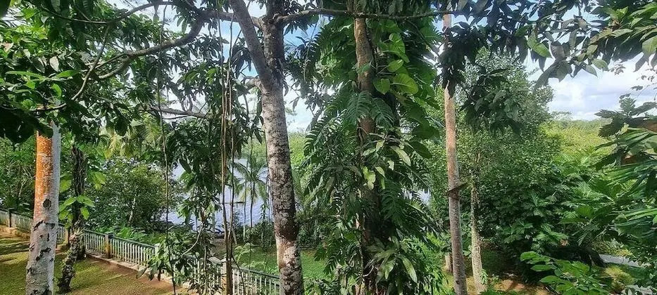 Deluxe Stüdyo Süit, 1 En Büyük (King) Boy Yatak, Göl Manzaralı, Göl Kenarı