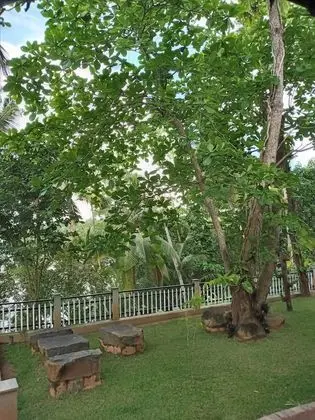 Deluxe Tek Büyük veya İki Ayrı Yataklı Oda, 4 Yatak Odası, Göl Manzaralı