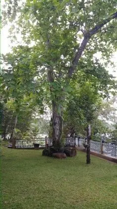 Deluxe Tek Büyük veya İki Ayrı Yataklı Oda, 4 Yatak Odası, Göl Manzaralı