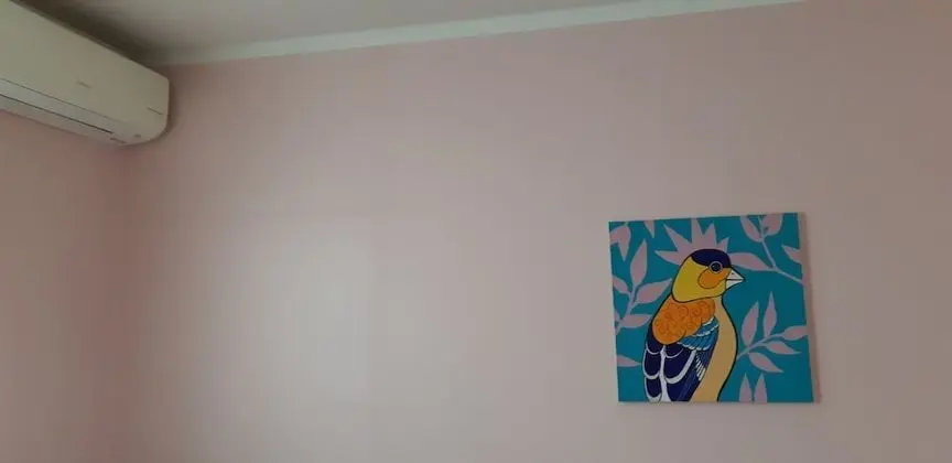 1 x Private Single Room(Shared Bathroom)