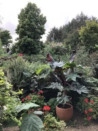 Deluxe Tek Büyük Yataklı Oda (with Patio)