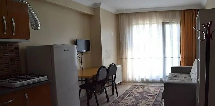Apartment, Mountain View (01)