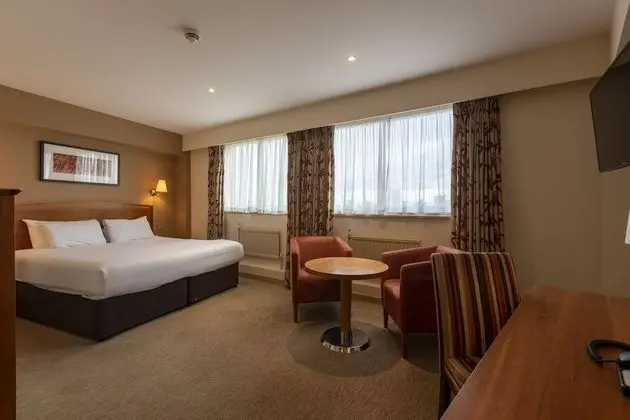 Executive Oda, 1 Çift Kişilik Yatak, Sigara İçilmez