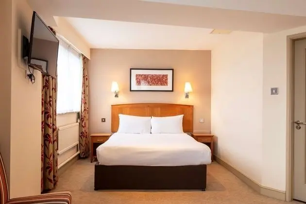 Executive Oda, 1 Çift Kişilik Yatak, Sigara İçilmez