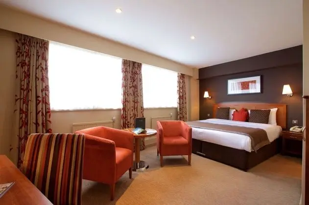 Executive Oda, 1 Çift Kişilik Yatak, Sigara İçilmez