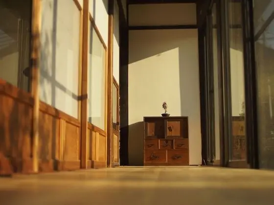 Traditional Oda (Japanese Style)