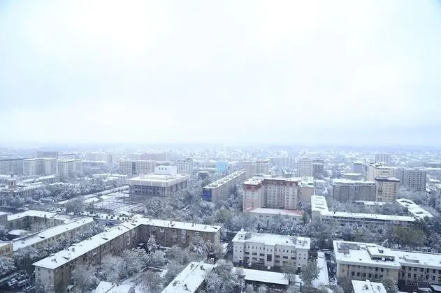 Luxury Apart Daire, 1 Yatak Odası