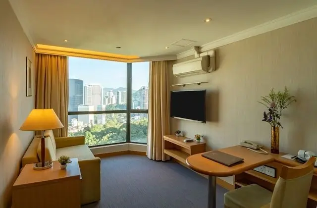 Deluxe Süit, Şehir Manzaralı