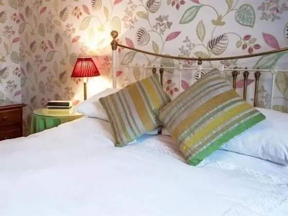 Tek Büyük Yataklı Oda, Banyolu/Duşlu (Bath - 2 & 11)