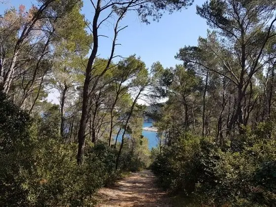 Ev (Villa Bistrana - 15m from sea - H(4))