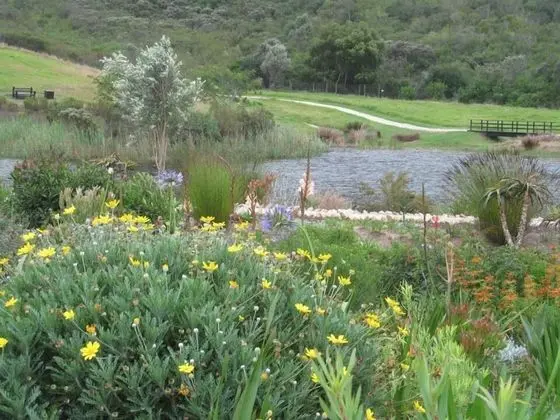 Luxury İki Ayrı Yataklı Oda