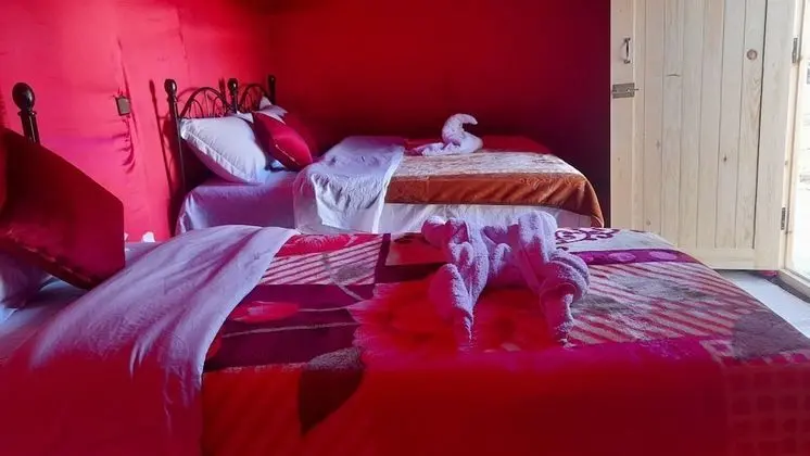 Luxury Çadır, 2 Yatak Odası, Sigara İçilmez, Bahçe Manzaralı