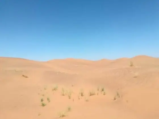 Classic Çadır, Ortak Banyo