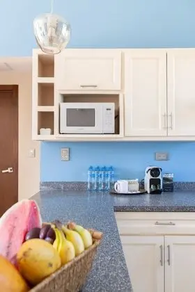 Junior Süit, 2 Yatak Odası, Engellilere Uygun, Şehir Manzaralı