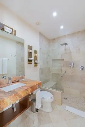 Superior Tek Büyük Yataklı Oda, 1 En Büyük (King) Boy Yatak, Engellilere Uygun, Şehir Manzaralı