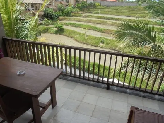 Deluxe Oda, 1 Yatak Odası, Havuz Kullanımı