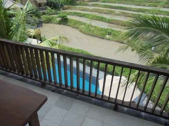 Deluxe Oda, 1 Yatak Odası, Havuz Kullanımı