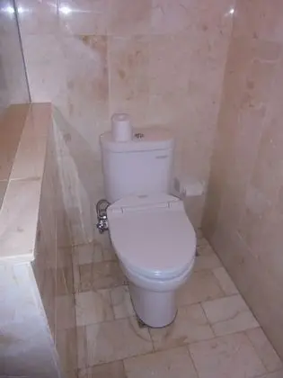 Deluxe Oda, 1 Yatak Odası, Havuz Kullanımı