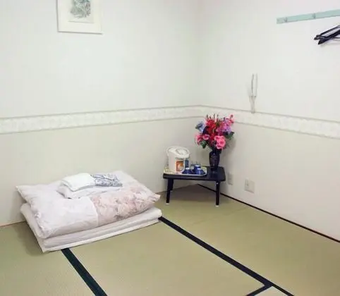 Traditional Oda, Japon Şiltesi, Özel Banyo