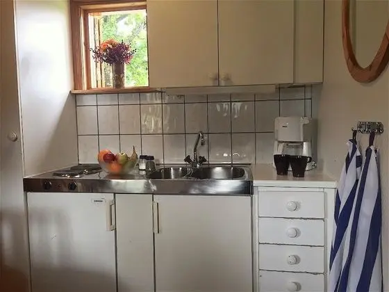 Basic Kır Evi