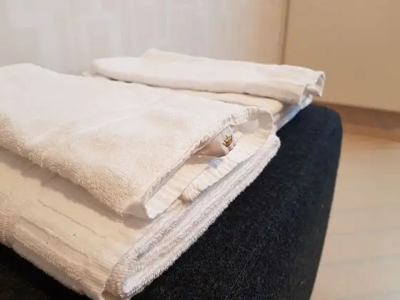 Economy Tek Büyük veya İki Ayrı Yataklı Oda, 2 Tek Kişilik Yatak, Ortak Banyo