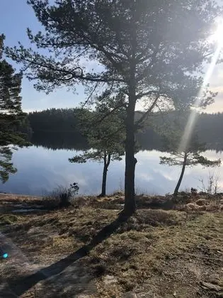 Grand Kulübe, Göl Manzaralı (Sauna)
