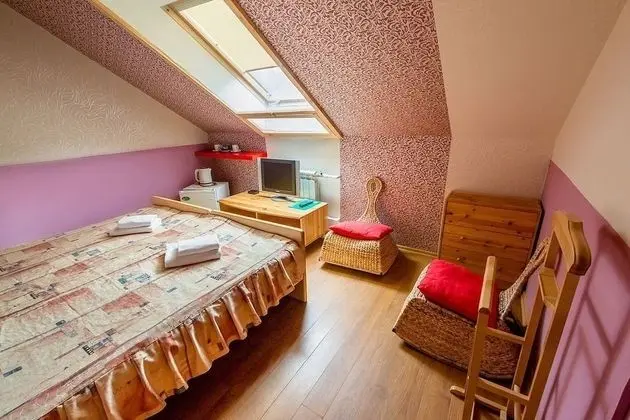 Standard Tek Büyük veya İki Ayrı Yataklı Oda, Park Manzaralı