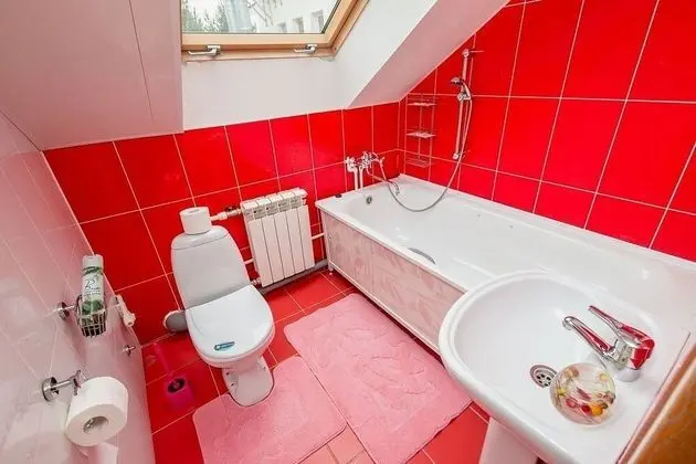 Standard Tek Büyük veya İki Ayrı Yataklı Oda, Park Manzaralı