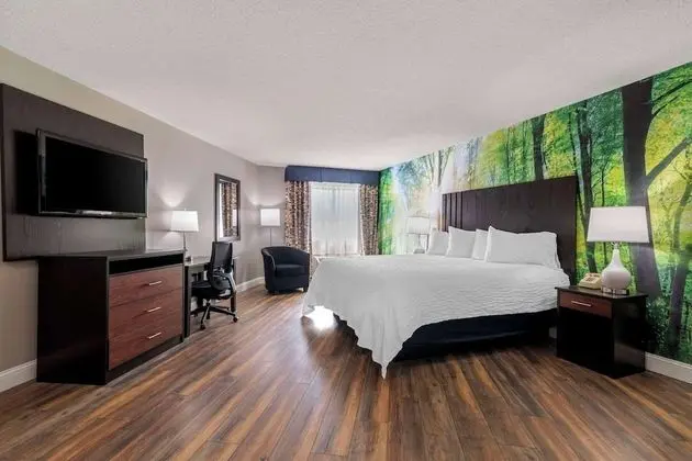 Süit, 1 En Büyük (King) Boy Yatak, Sigara İçilmez (Pet-Friendly)