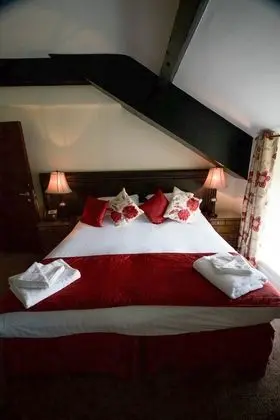Black Boy Executive Room Queen