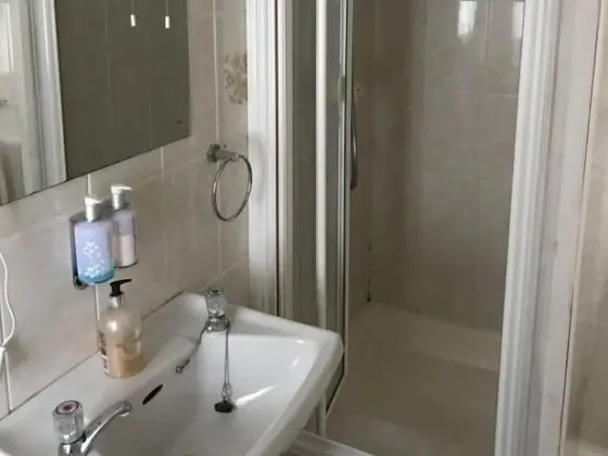 Deluxe Tek Büyük Yataklı Oda, Banyolu/Duşlu