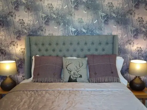 Deluxe Tek Büyük Yataklı Oda, Banyolu/Duşlu (With Sofa Bed)