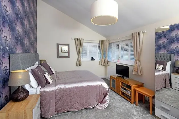 Deluxe Tek Büyük Yataklı Oda, Banyolu/Duşlu (With Sofa Bed)