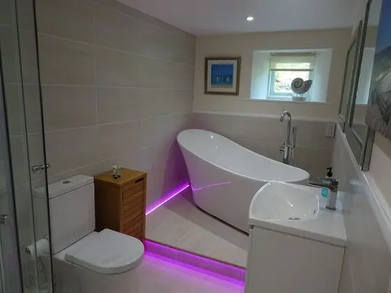 Deluxe Tek Büyük Yataklı Oda, Banyolu/Duşlu (With Sofa Bed)
